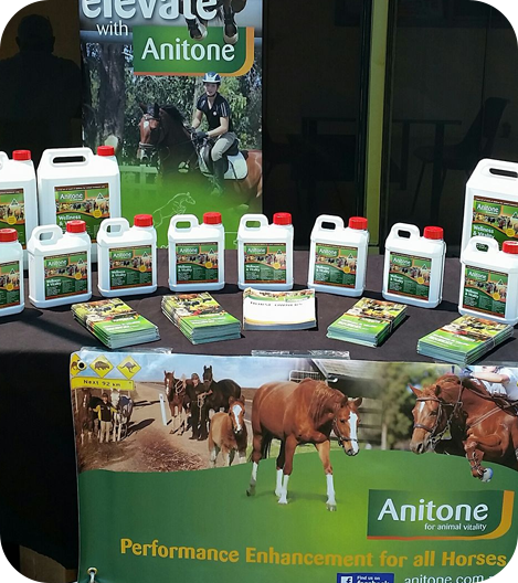 A stall containing Anitone products and brochures